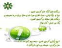 برندگان کارسوق تخمین-پایه هشتم